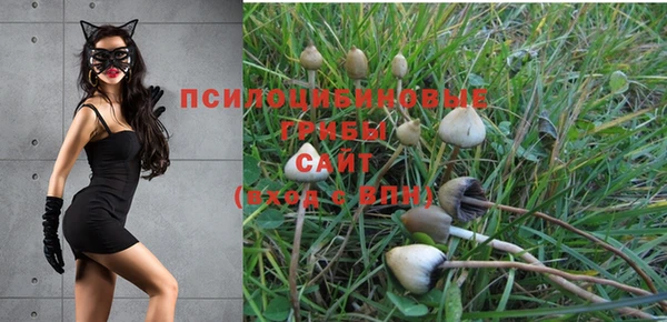 мдпв Богданович