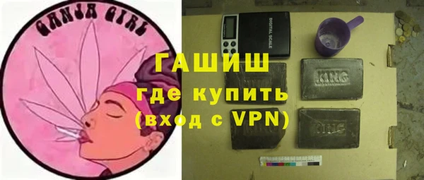 гидра Богородск