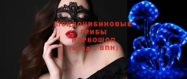 первитин Богородицк