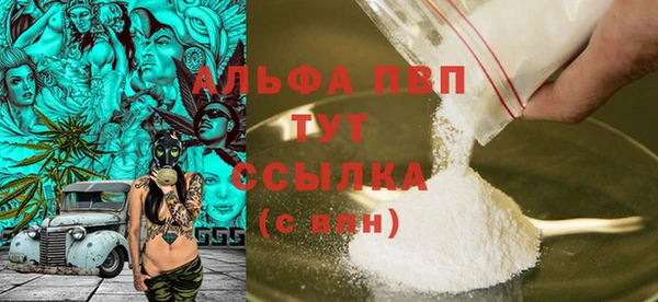 гашик Белокуриха
