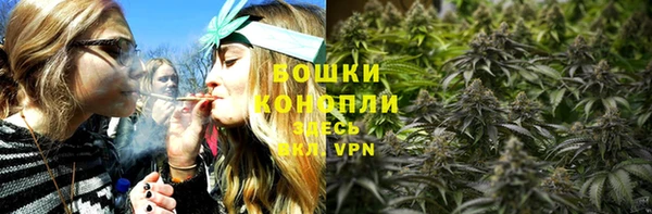 гидра Богородск