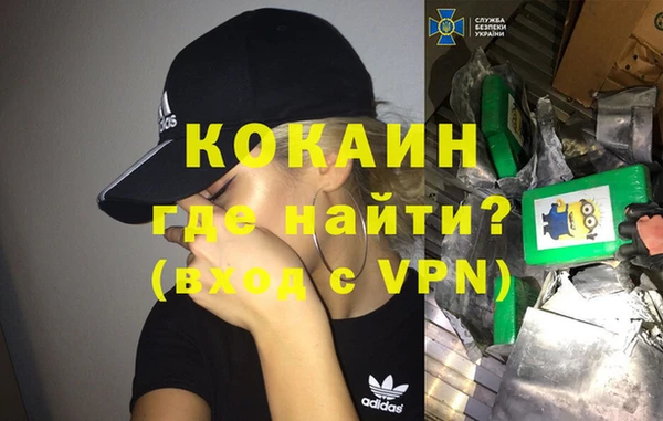 гидра Богородск