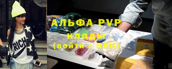 гашик Белокуриха