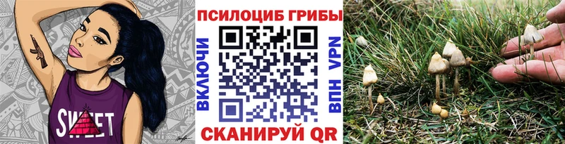 даркнет сайт  Кимры  Псилоцибиновые грибы ЛСД 